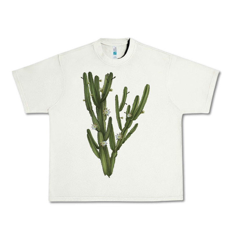Cereus Jamacaru Urban Heavy Tee by LillyAllenDesigns | Teevron