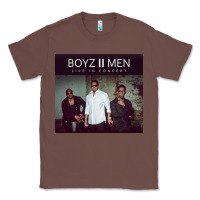 Chestnut #boyz 2 men tour 2022 Classic Tee - linhVisuals