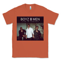 Copper #boyz 2 men tour 2022 Classic Tee - linhVisuals