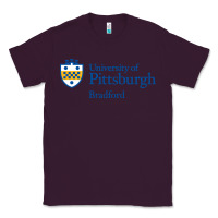 University Of Pittsburgh At Bradford New Classic Tee | Teevron