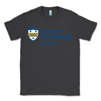 Smoke University Of Pittsburgh At Bradford New Classic Tee - linhVisuals