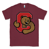 Burgundy Cornell Big Red Classic Tee - linhVisuals