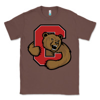 Chestnut Cornell Big Red Classic Tee - linhVisuals