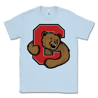 Dusty Blue Cornell Big Red Classic Tee - linhVisuals