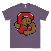 Lavender Cornell Big Red Classic Tee - linhVisuals