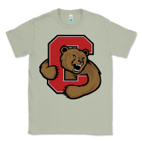 Matcha Cornell Big Red Classic Tee - linhVisuals
