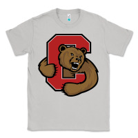 Moon Dust Cornell Big Red Classic Tee - linhVisuals