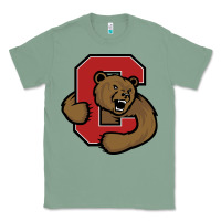 Sage Cornell Big Red Classic Tee - linhVisuals