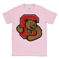 Bubblegum Pink Cornell Big Red Classic Tee - linhVisuals