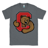 Charcoal Heather Cornell Big Red Classic Tee - linhVisuals
