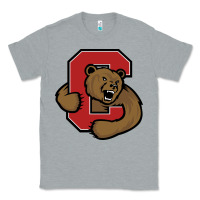 Heather Grey Cornell Big Red Classic Tee - linhVisuals