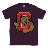 Plum Cornell Big Red Classic Tee - linhVisuals