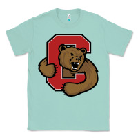 Seafoam Cornell Big Red Classic Tee - linhVisuals