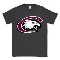 Smoke chadron state eagles Classic Tee - linhVisuals
