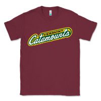 Burgundy Vermont Catamounts Athletics Wordmark Classic Tee - linhVisuals