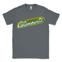 Charcoal Heather Vermont Catamounts Athletics Wordmark Classic Tee - linhVisuals