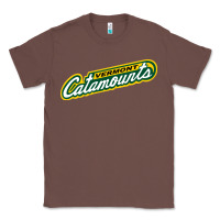 Chestnut Vermont Catamounts Athletics Wordmark Classic Tee - linhVisuals