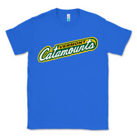 Vermont Catamounts Athletics Wordmark Classic Tee | Teevron