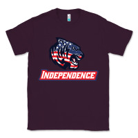 Plum independence high school Classic Tee - linhVisuals