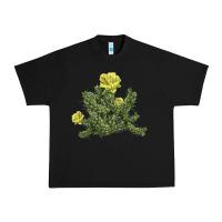 Black whipple cholla cactus Urban Heavy Tee - LillyAllenDesigns