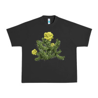 Pigment Black whipple cholla cactus Urban Heavy Tee - LillyAllenDesigns