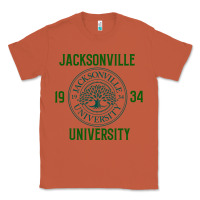 Copper jacksonville university Classic Tee - linhVisuals