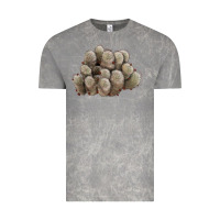 Cloud Rock brown flowered cactus Vintage Tee - LillyAllenDesigns