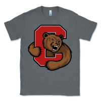 Charcoal Heather cornell big red tshirts Classic Tee - linhVisuals