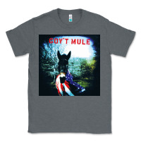 Charcoal Heather #govt mule american tour 2022 Classic Tee - linhVisuals