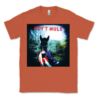 Copper #govt mule american tour 2022 Classic Tee - linhVisuals