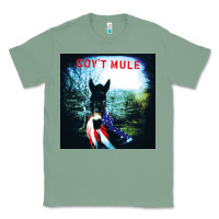 Sage #govt mule american tour 2022 Classic Tee - linhVisuals