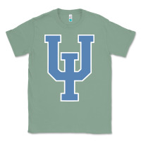 Sage Upper Iowa Peacocks, Merch Classic Tee - linhVisuals