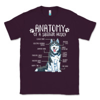 Plum anatomy siberian husky dog Classic Tee - linhVisuals