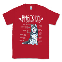 Red anatomy siberian husky dog Classic Tee - linhVisuals