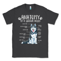 Smoke anatomy siberian husky dog Classic Tee - linhVisuals
