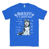 True Royal anatomy siberian husky dog Classic Tee - linhVisuals