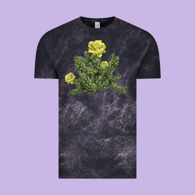 Whipple Cholla Cactus Vintage Tee Designed By Lillyallendesigns