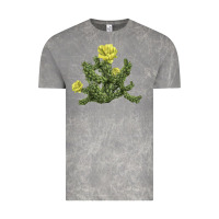 Cloud Rock whipple cholla cactus Vintage Tee - LillyAllenDesigns