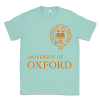 Seafoam oxford Classic Tee - linhVisuals