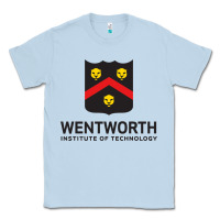 Dusty Blue wentworth standard Classic Tee - linhVisuals