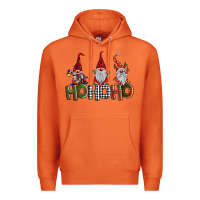 Carrot ho ho. ho gnomes Premium Hoodie - BarkalooDesign