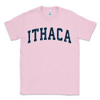 Bubblegum Pink ithaca new york ny vintage sports design navy design t shirt Classic Tee - linhVisuals