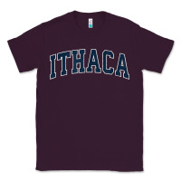 Plum ithaca new york ny vintage sports design navy design t shirt Classic Tee - linhVisuals