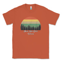 Copper deam lake state Classic Tee - linhVisuals