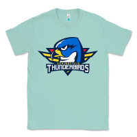 Seafoam the thunderbirds springfield Classic Tee - linhVisuals
