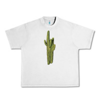 Lunar Rock saguaro cactus Urban Heavy Tee - LillyAllenDesigns