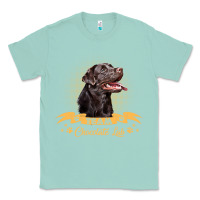 Seafoam labrador retriever team chocolate lab funny Classic Tee - linhVisuals