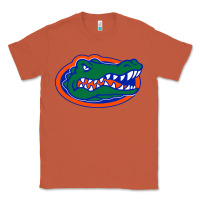 Copper go florida gators football Classic Tee - linhVisuals