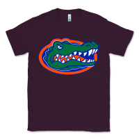 Plum go florida gators football Classic Tee - linhVisuals