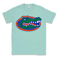 Seafoam go florida gators football Classic Tee - linhVisuals